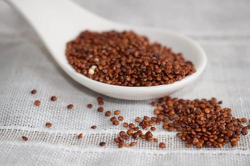 Raw quinoa on a white spoon