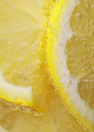 Lemon slices in tonic