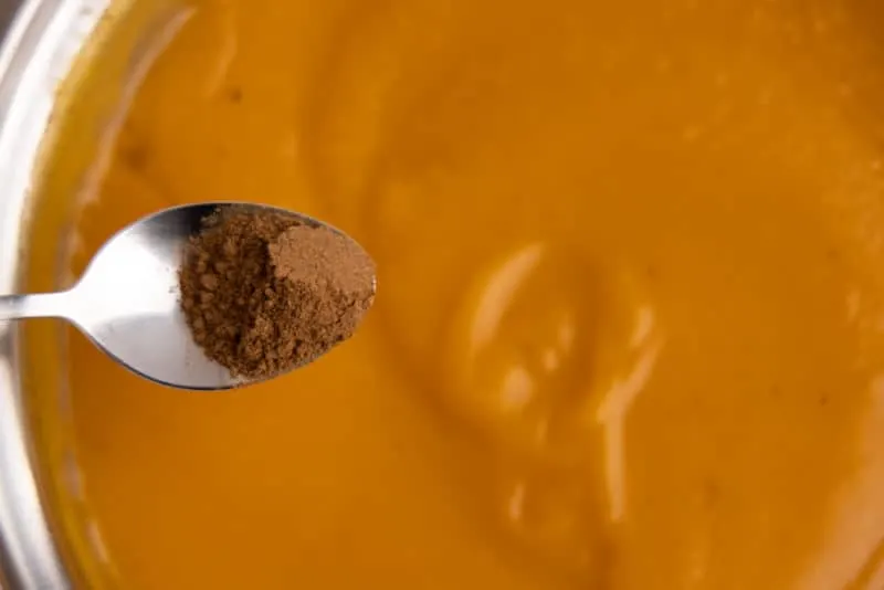 Adding cinnamon to butternut squash soup