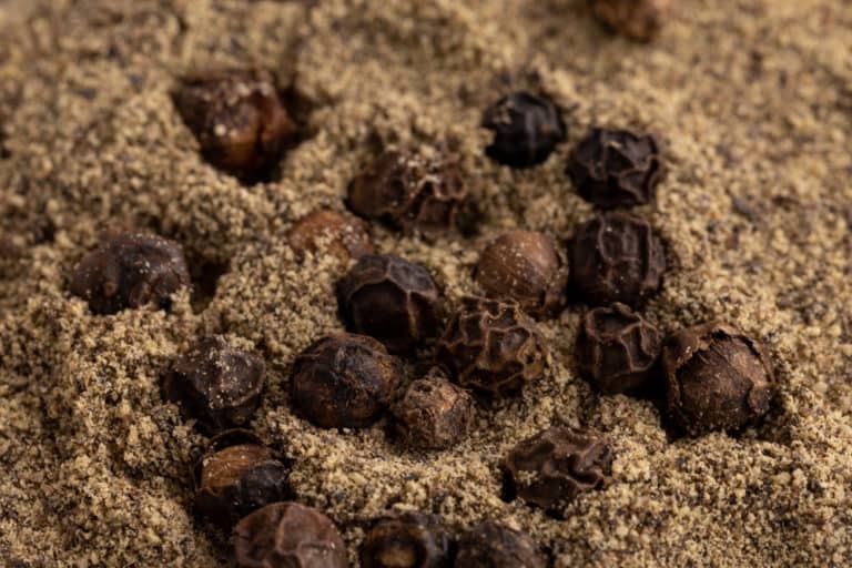 Black Pepper & Peppercorns How Long Do They Last and How To Store Them