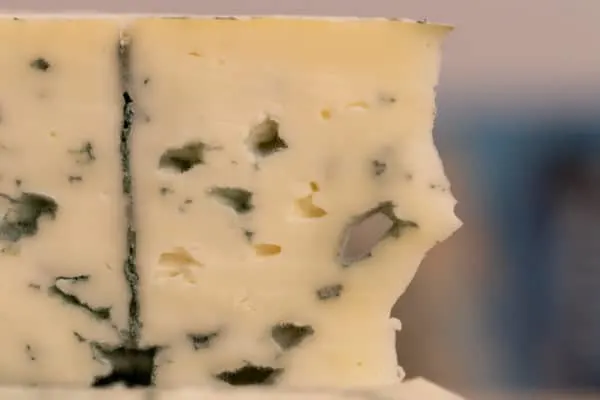 Blue cheese closeup