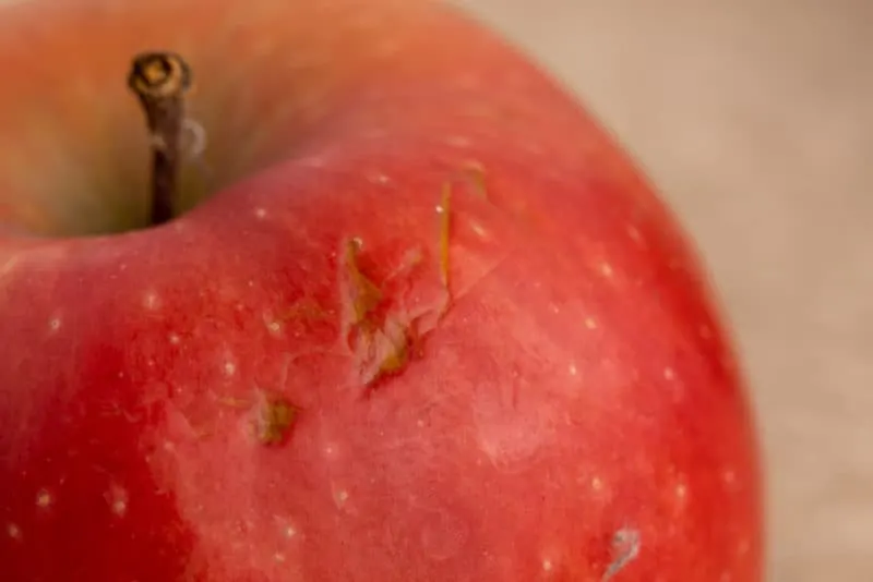 Bruised apple