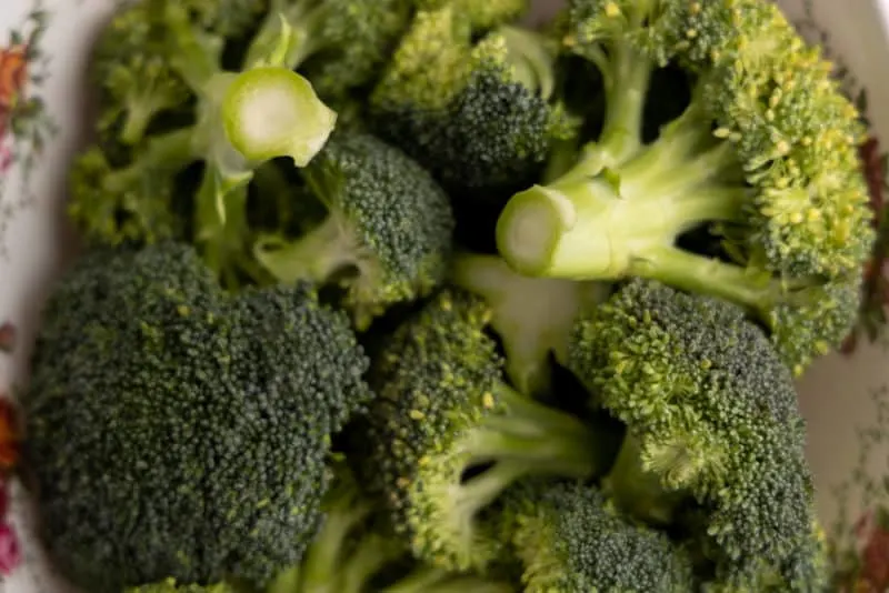 Bunch of broccoli florets