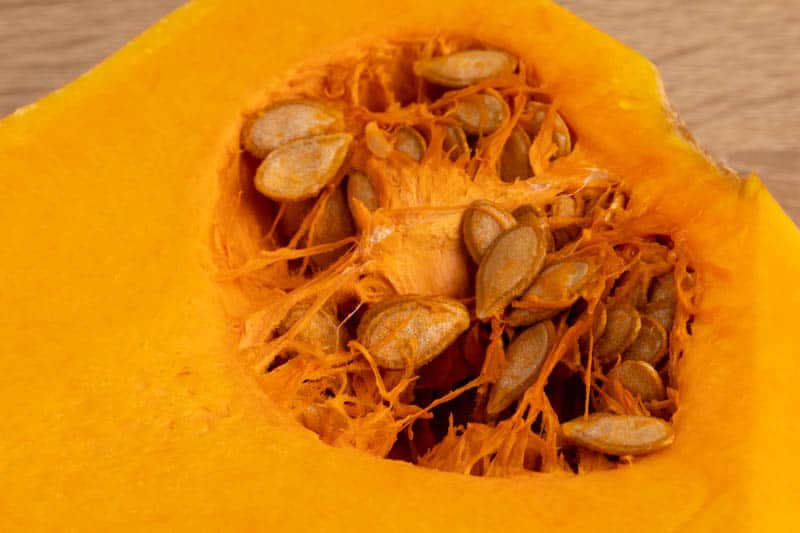 Butternut squash seeds