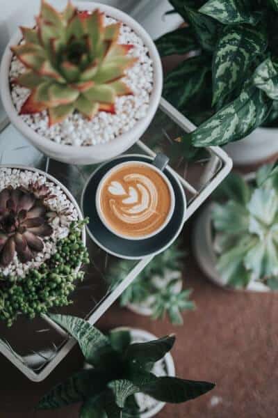 Coffee latte