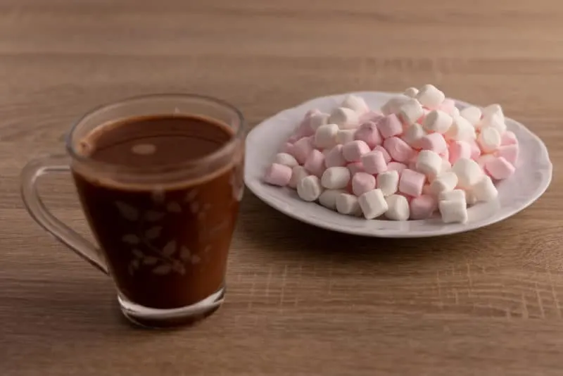 Glass of hot chocolate and marshmallows