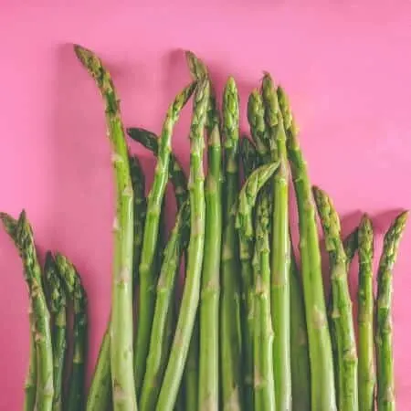 Green asparagus on pink background