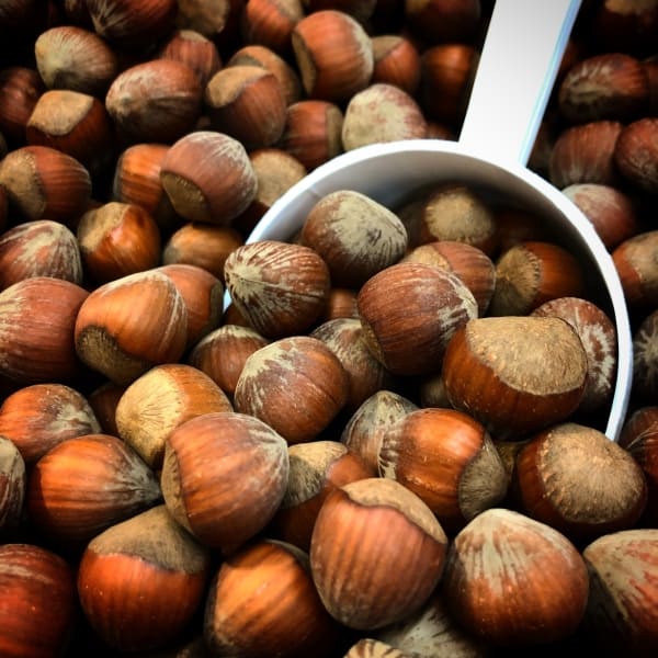 Hazelnuts and a measuring spoon