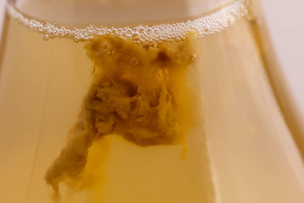 Can Kombucha Go Bad? How To Tell If It's Bad? Can It Go Bad?