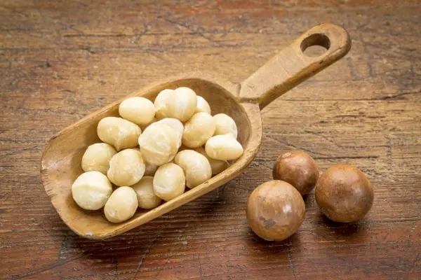 Macadamia nuts on a wooden scoop