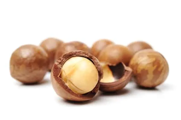 Macadamias with shells on