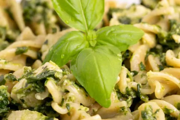 Pasta, pesto, and spinach