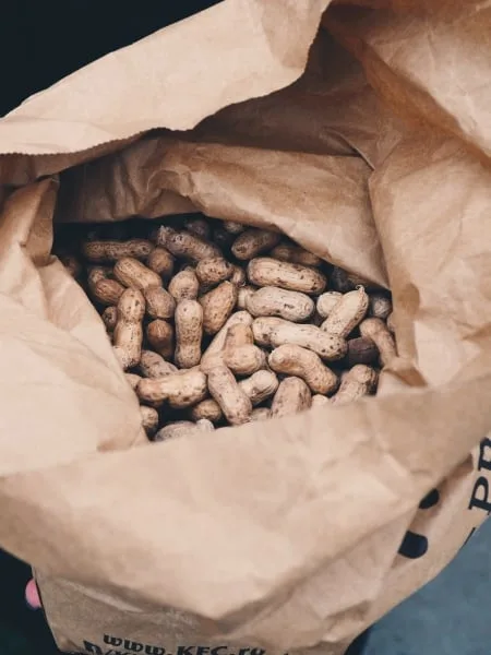 Peanuts in a paper bag