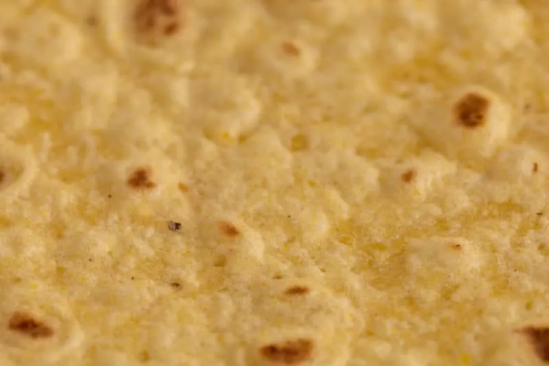 Tortilla closeup