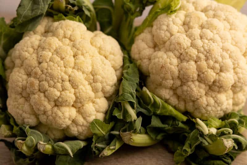 Two cauliflower heads