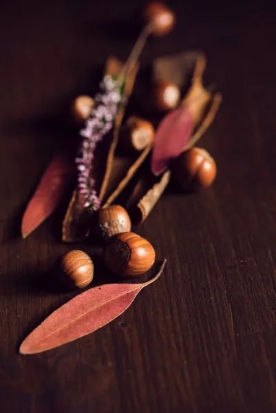 Unshelled hazelnuts and spices