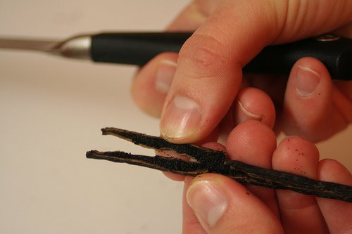 Cutting a vanilla bean lengthwise